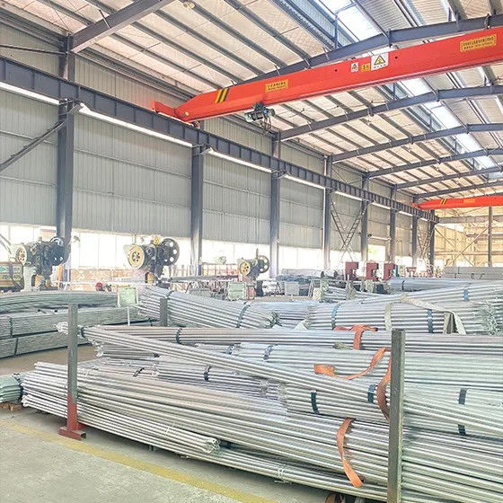 Chine Sichuan Xinglong Excellence Development Science and Technology Co., Ltd. Profil de la société