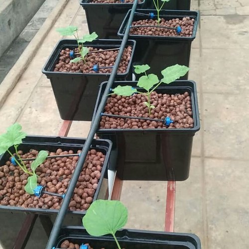 Accessoires de serre pour l'agriculture Pipe d'arrosage à goutte à goutte en plastique 3