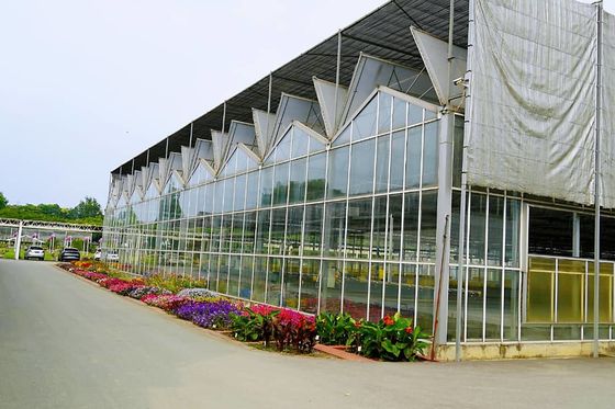 Aquaponics Venlo Glass Greenhouse With Full Roof Windows Ventilation System