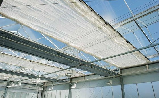 Aquaponics Venlo Glass Greenhouse With Full Roof Windows Ventilation System