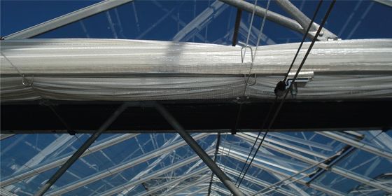 Aquaponics Venlo Glass Greenhouse With Full Roof Windows Ventilation System