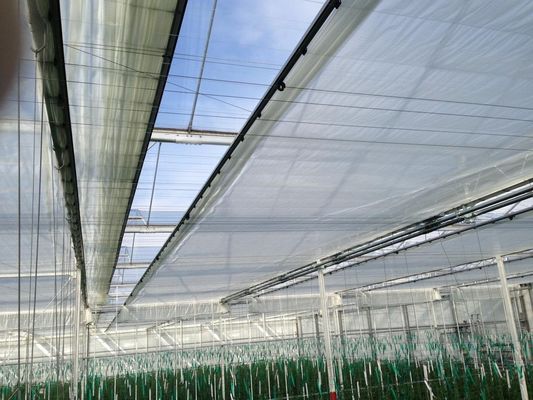 Aquaponics Venlo Glass Greenhouse With Full Roof Windows Ventilation System