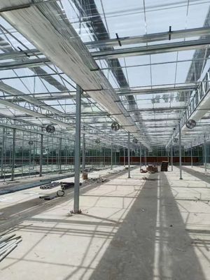 Aquaponics Venlo Glass Greenhouse With Full Roof Windows Ventilation System