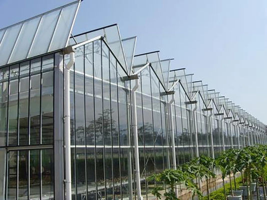 Aquaponics Venlo Glass Greenhouse With Full Roof Windows Ventilation System