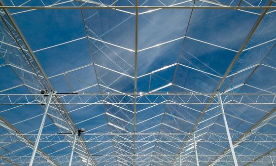 Serre en verre transparent avec tuyaux en aluminium et zinc