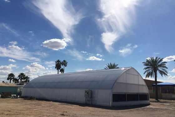 Film plastique en aluminium zinc plaqué Serre UV protégé Transmission de la lumière Anti-âge Anti-goutte à goutte